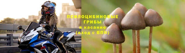 прущие грибы Воткинск